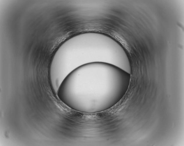 X0000095510401200712140939