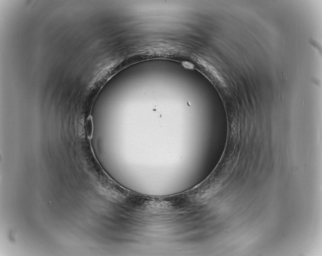 X0000095510403200712140939