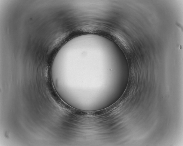 X0000095510404200712140939