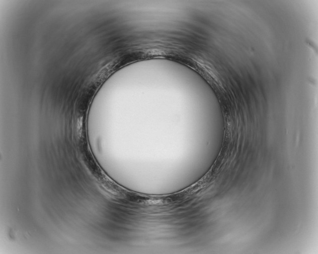 X0000095510406200712140939