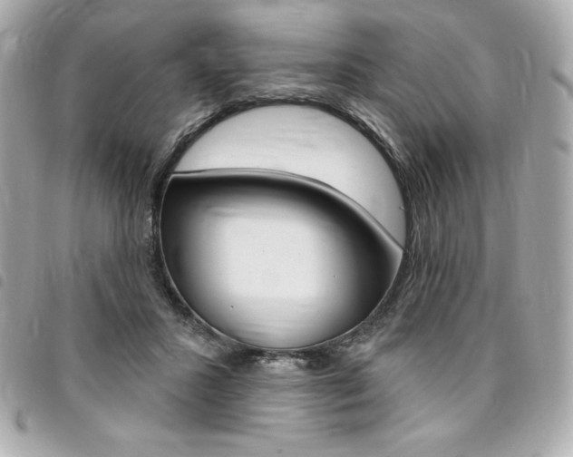 X0000095510407200712140939