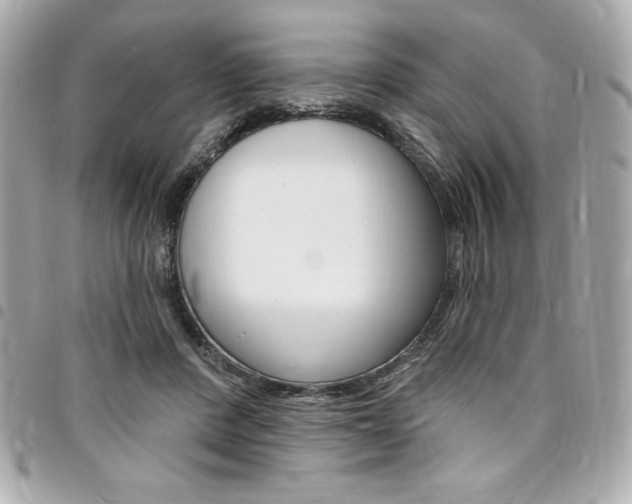 X0000095510408200712140939