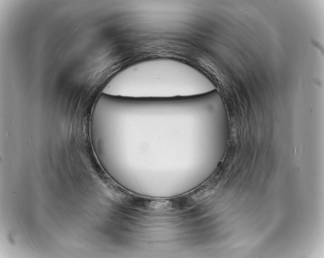 X0000095510410200712140939