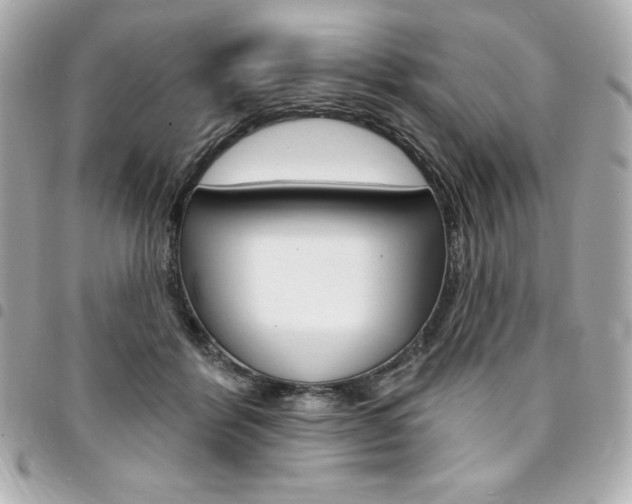 X0000095510412200712140939