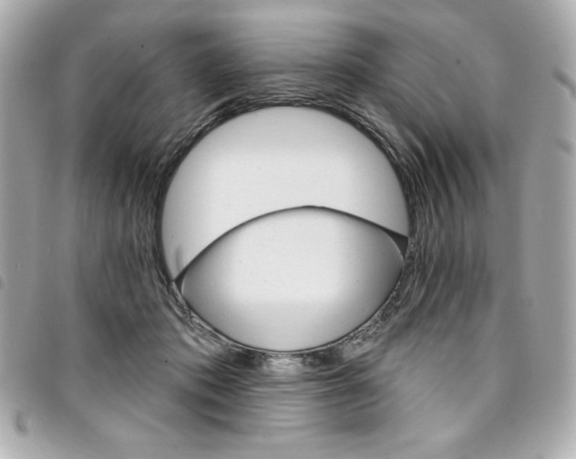 X0000095510413200712140939