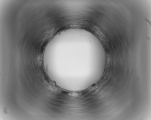 X0000095510419200712140939