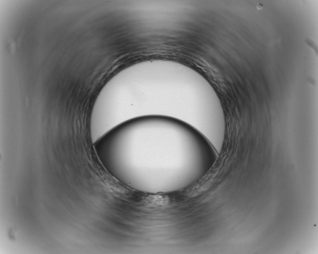 X0000095510421200712140938
