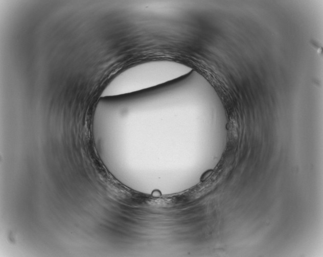 X0000095510422200712140938