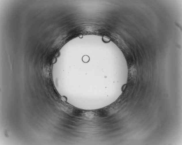 X0000095510423200712140938