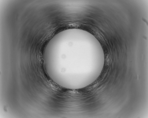 X0000095510424200712140938