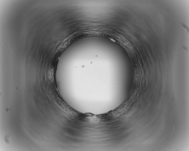 X0000095510425200712140938