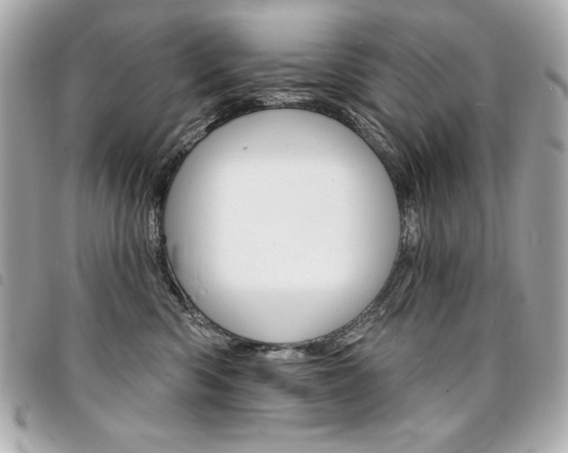 X0000095510426200712140938