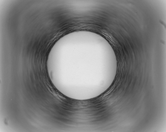X0000095510429200712140938