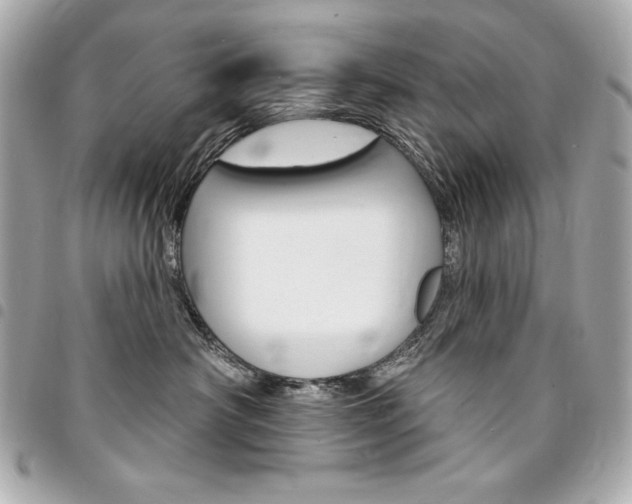 X0000095510430200712140938