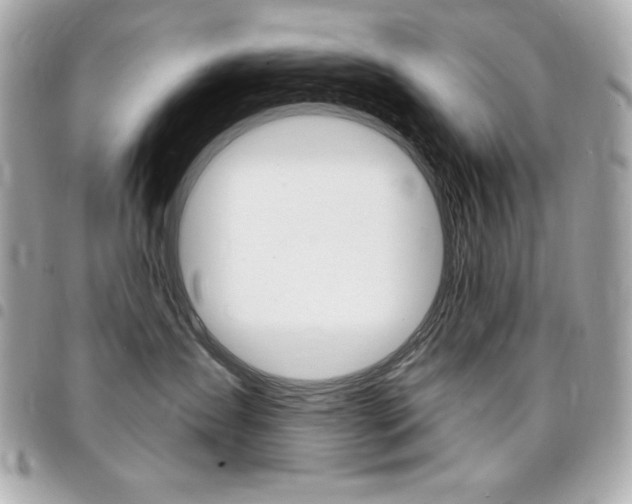 X0000095510431200712140938