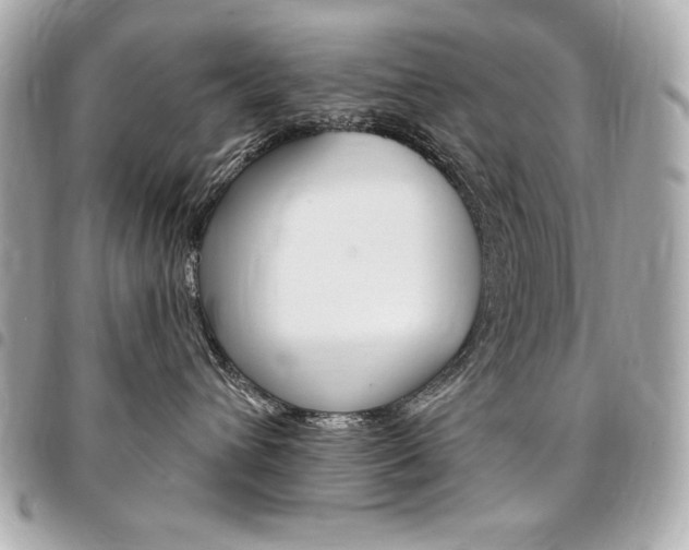 X0000095510432200712140938
