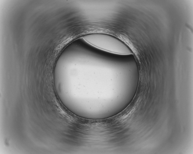 X0000095510433200712140938