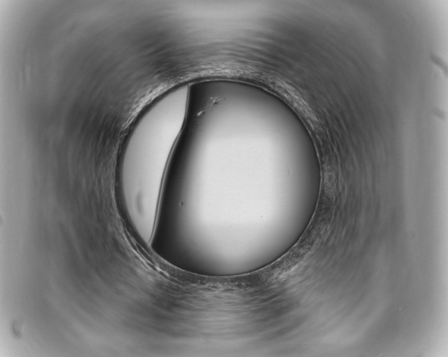 X0000095510434200712140938