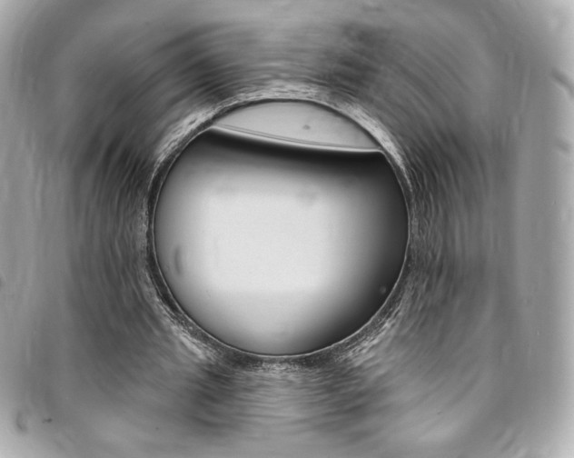 X0000095510437200712140938