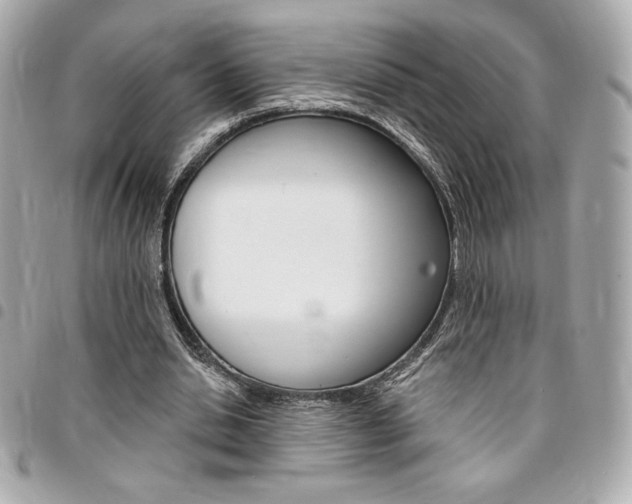 X0000095510438200712140938