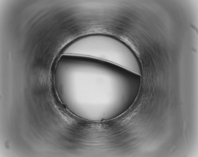 X0000095510439200712140938