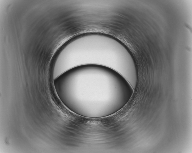 X0000095510440200712140938