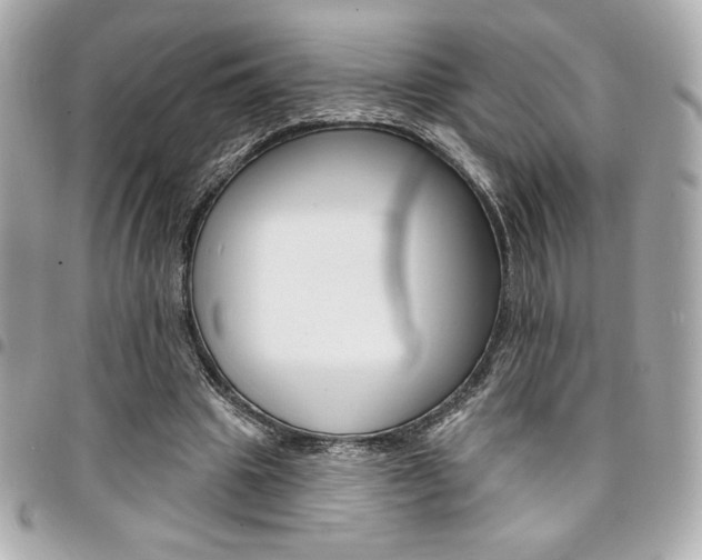 X0000095510441200712140938
