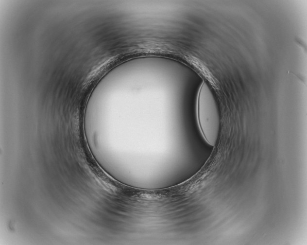 X0000095510442200712140938