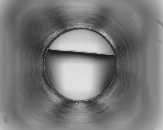 X0000095510445200712140938