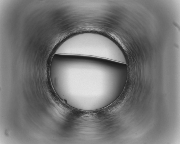 X0000095510447200712140938