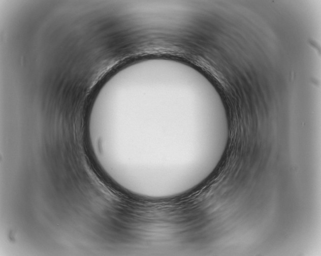 X0000095510448200712140938