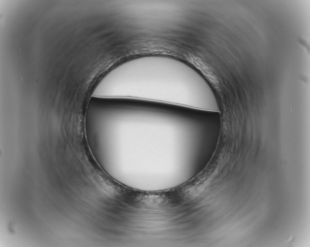 X0000095510449200712140938