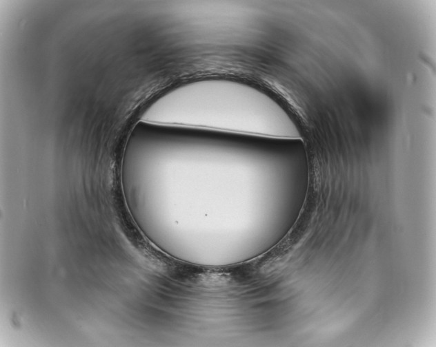 X0000095510451200712140938