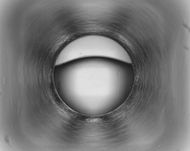 X0000095510452200712140938