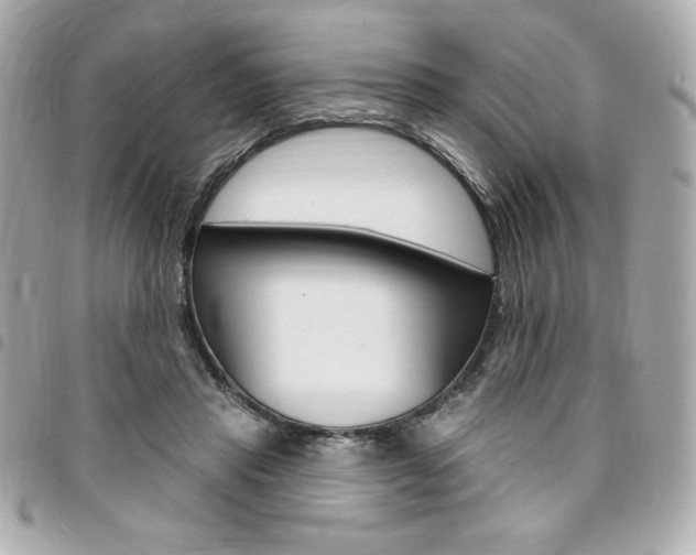 X0000095510453200712140938