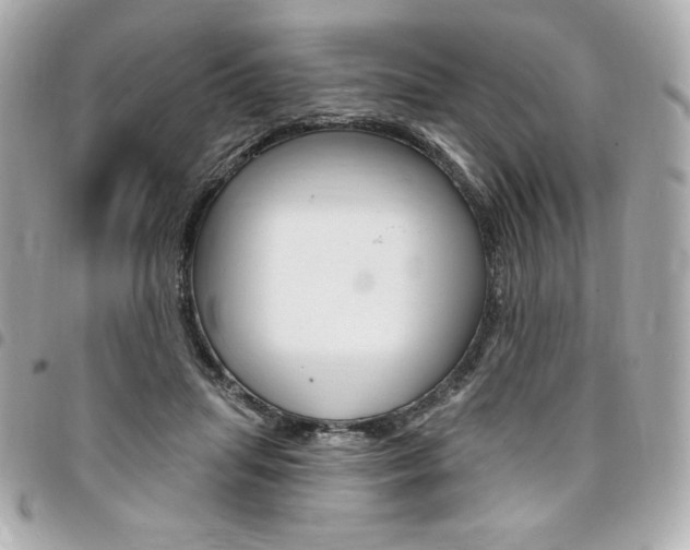X0000095510455200712140938