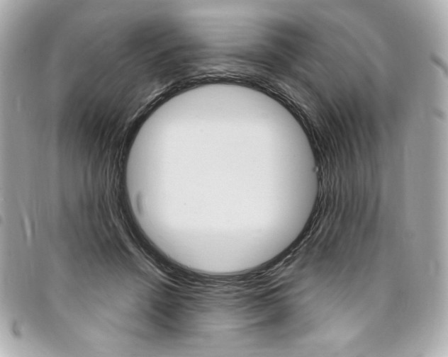 X0000095510456200712140938