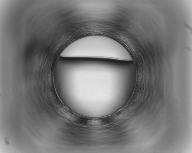 X0000095510457200712140938