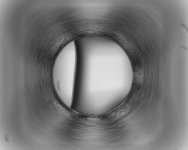 X0000095510458200712140938