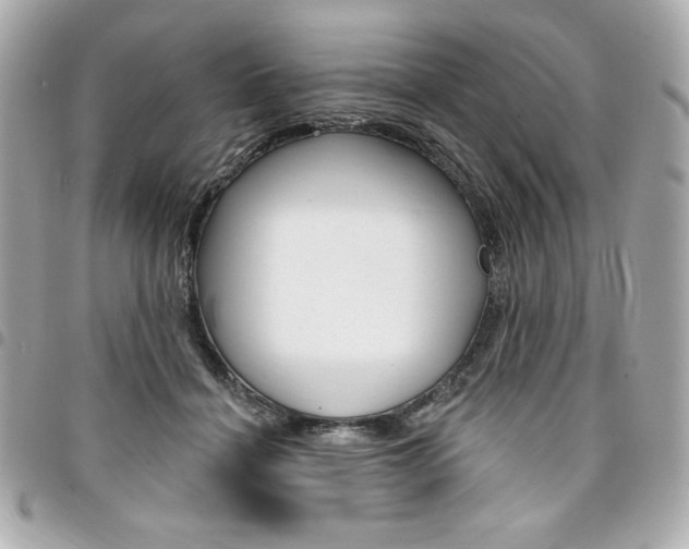X0000095510460200712140938