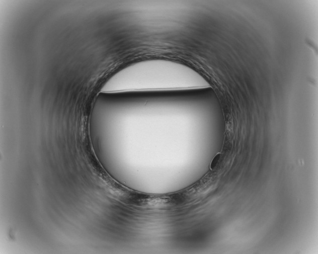 X0000095510462200712140938