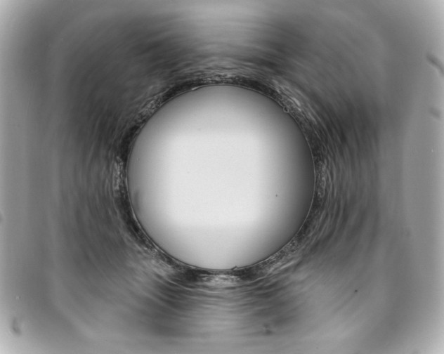 X0000095510463200712140938