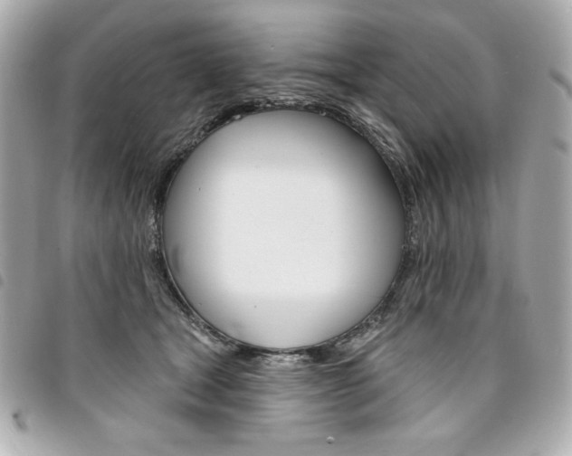 X0000095510465200712140938
