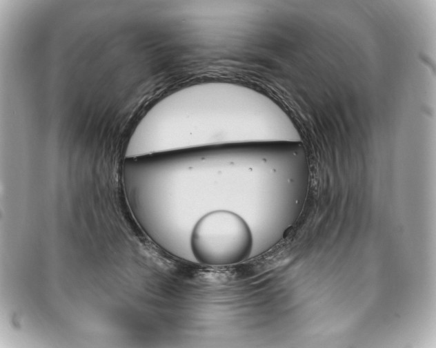 X0000095510466200712140938
