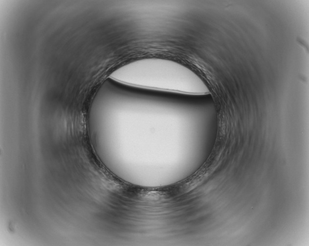 X0000095510467200712140938