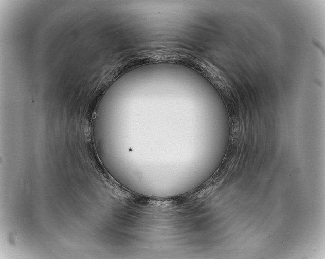 X0000095510469200712140938