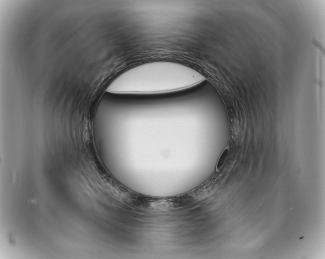 X0000095510470200712140938