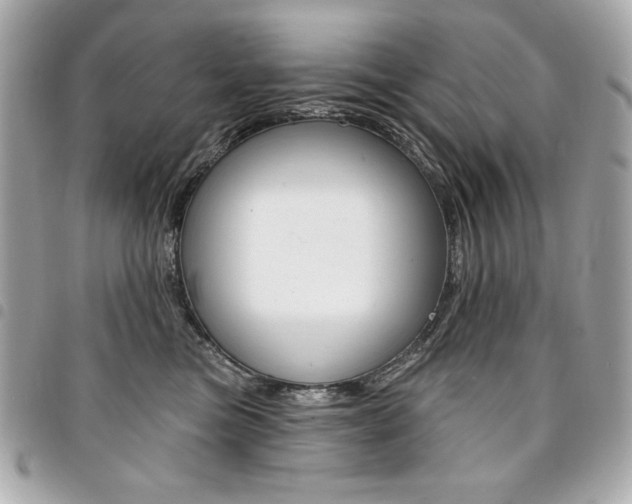 X0000095510473200712140938