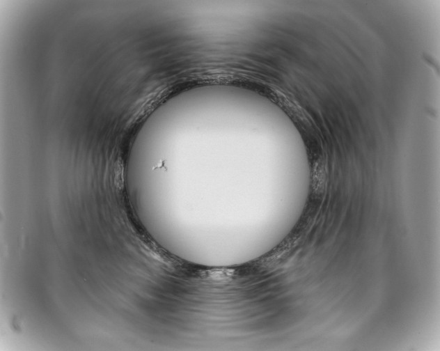 X0000095510474200712140938