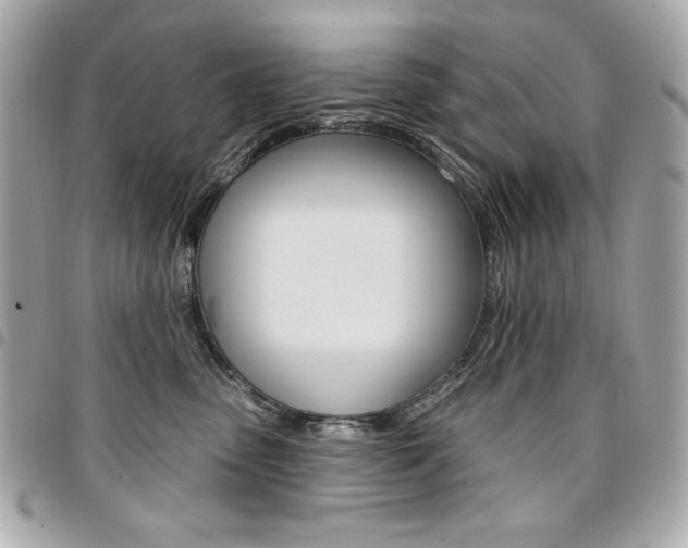 X0000095510475200712140938